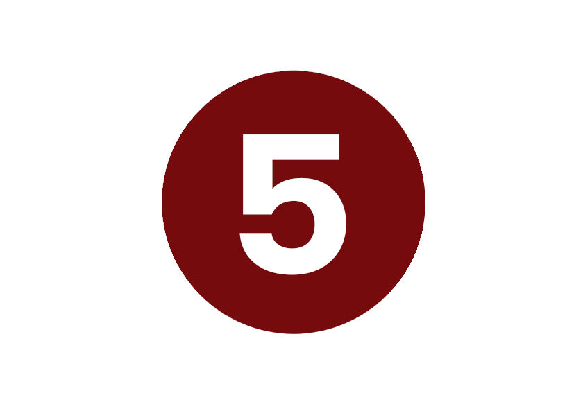 Level 5 Maroon New